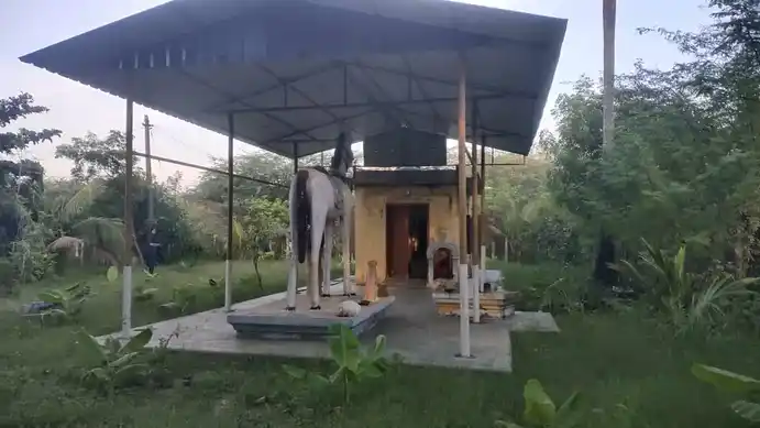 Arulmigu Vishwanathaswamy Temple, Senthamangalam - 610002 அருள்மிகு விசுவநாதசுவாமி திருக்கோயில்மற்றும் அய்யனார் கோவில், சேந்தமங்கலம், திருவாரூர் மாவட்டம் சுவாமி, Senthamangalam - 610002, Thiruvarur - Ancient Temple Architecture and History Image 10