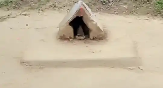 Arulmigu Vishwanathaswamy Temple, Vadapothinatham - 642132 டெம்ப்லே, Vadapothinatham - 642132, Tiruppur - Ancient Temple Architecture and History Image 2