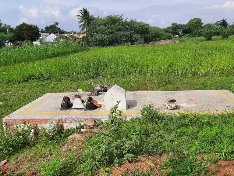 Arulmigu Vishwanathaswamy Temple, Viralippatty - 624202 அருள்மிகு விஸ்வநாத சாமி திருக்கோயில், Viralippatty - 624202, Dindigul - Ancient Temple Architecture and History Image 5