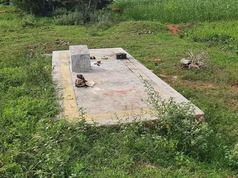 Arulmigu Vishwanathaswamy Temple, Viralippatty - 624202 அருள்மிகு விஸ்வநாத சாமி திருக்கோயில், Viralippatty - 624202, Dindigul - Ancient Temple Architecture and History Image 7