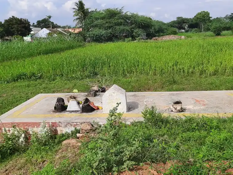 Arulmigu Vishwanathaswamy Temple, Viralippatty - 624202 அருள்மிகு விஸ்வநாத சாமி திருக்கோயில், Viralippatty - 624202, Dindigul - Ancient Temple Architecture and History Image 8