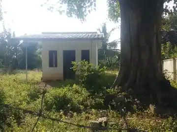 Arulmigu Vishweswarasamy Temple, Kedarai - 638458 அருள்மிகு விஸ்வேஸ்வரசாமி திருக்கோயில், Kedarai - 638458, Erode - Ancient Temple Architecture and History Image 2