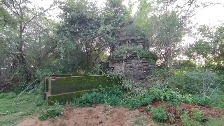 Arulmigu Visuvanathaswami Temple, Illupur, Iluppur - 609308 அருள்மிகு விஸ்வநாத சுவாமி திருக்கோயில், Illupur, Illupur - 609308, Mayiladuthurai - Ancient Temple Architecture and History Image 5