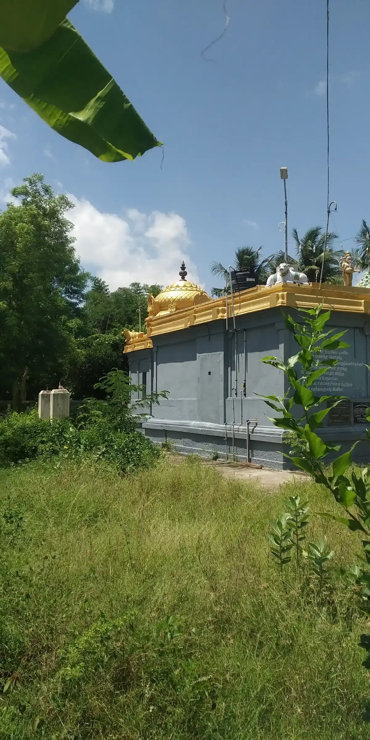 Arulmigu Visvanatha Swamy Temple, Kattur - 610104 அருள்மிகு விஸ்வநாதசாமி திருக்கோயில், காட்டூர் - 610104, Thiruvarur - Ancient Temple Architecture and History Image 2