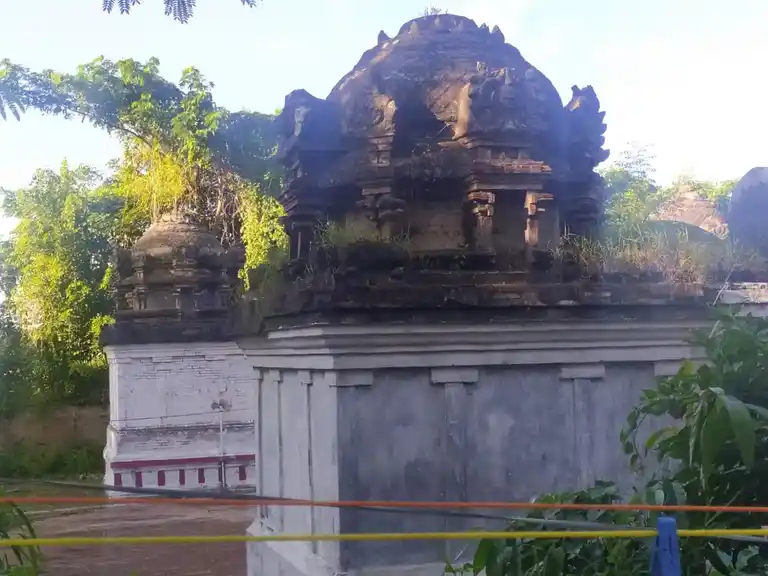 Arulmigu Visvanatha Swamy Temple, Maruthuvakudi - 612101 அருள்மிகு விஸ்வநாத சுவாமி திருக்கோயில், Maruthuvakudi - 612101, Thanjavur - Ancient Temple Architecture and History Image 8