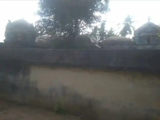 Arulmigu Visvanatha Swamy Temple, Thiyagarajapuram - 609804