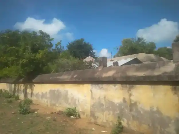 Arulmigu Visvanatha Swamy Temple, Thiyagarajapuram - 609804 அருள்மிகு விஸ்வநாத சுவாமி திருக்கோயில், தியாகராஜபுரம் - 609804, Thanjavur - Ancient Temple Architecture and History Image 2