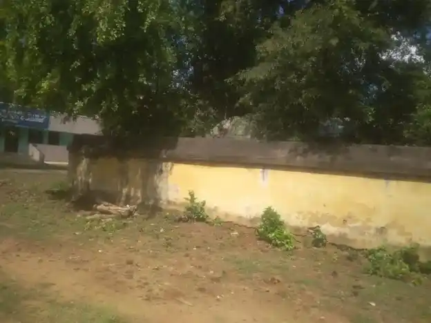 Arulmigu Visvanatha Swamy Temple, Thiyagarajapuram - 609804 அருள்மிகு விஸ்வநாத சுவாமி திருக்கோயில், தியாகராஜபுரம் - 609804, Thanjavur - Ancient Temple Architecture and History Image 3