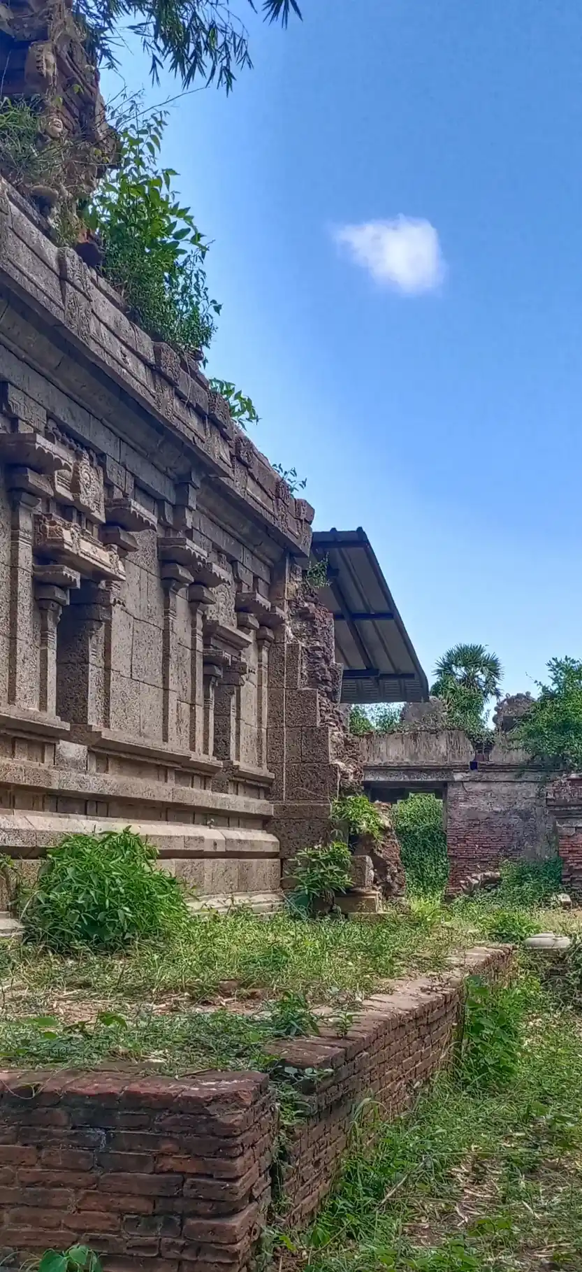 Arulmigu Visvanathaswami Temple, Thillaiyadi - 609310 அருள்மிகு விஸ்வநாதசுவாமி திருக்கோயில், Thillaiyadi - 609310, Mayiladuthurai - Ancient Temple Architecture and History Image 4