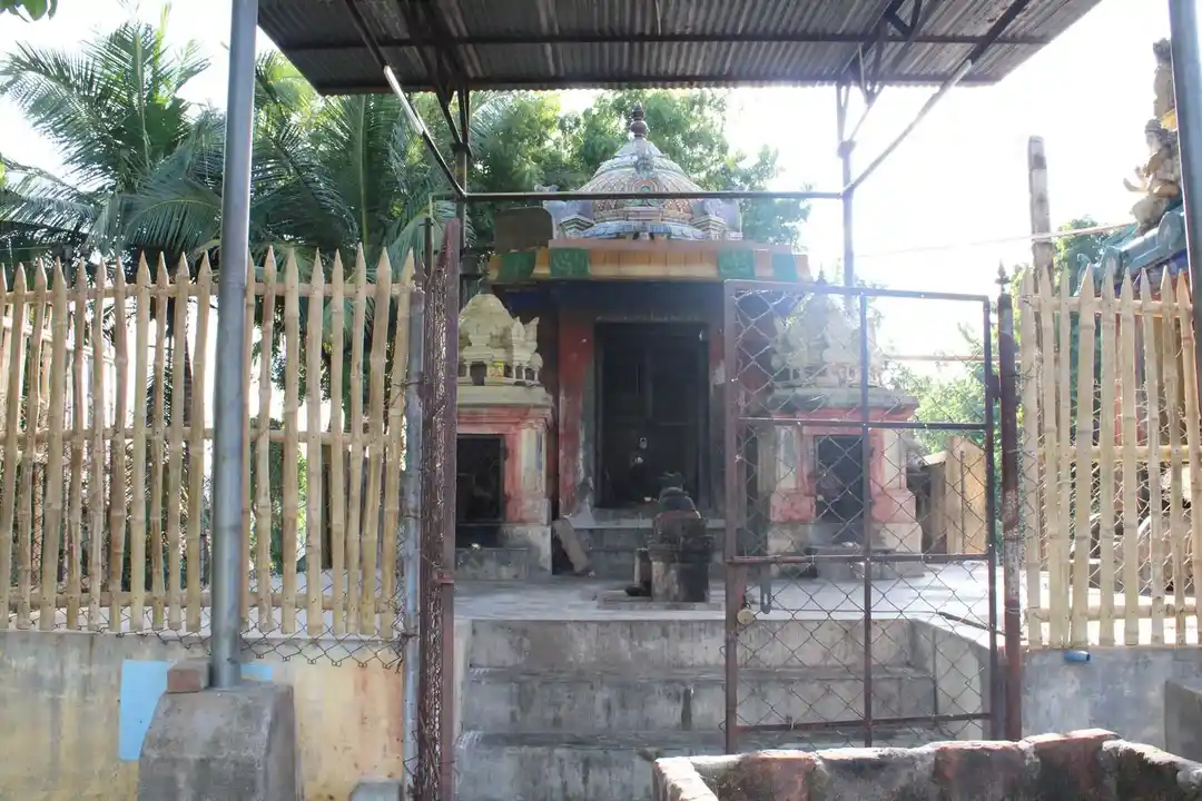 Arulmigu Visvanathaswamy Temple, Naduveli - 612106 அருள்மிகு விஸ்வநாத சுவாமி திருக்கோயில், Naduveli - 612106, Thanjavur - Ancient Temple Architecture and History Image 3