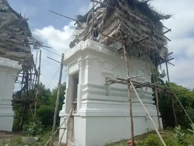 Arulmigu Viswanadha Swamy Temple, Sellampattu - 606207