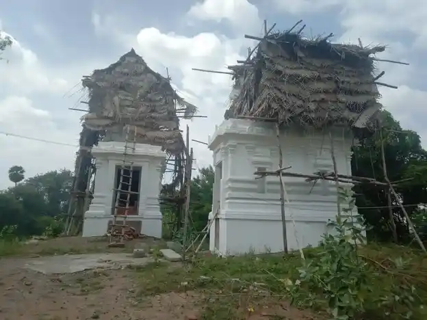Arulmigu Viswanadha Swamy Temple, Sellampattu - 606207 அருள்மிகு விஸ்வநாதசுவாமி திருக்கோயில், Sellampattu - 606207, Kallakurichi - Ancient Temple Architecture and History Image 4