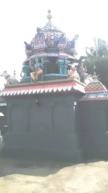 Arulmigu Viswanadhasamy Temple, Kavanur - 606110 அருள்மிகு விஸ்வநாதசுவாமி திருக்கோயில், காவனூர் - 606110, Cuddalore - Ancient Temple Architecture and History Image 7
