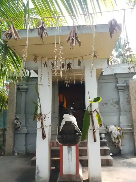 Arulmigu Viswanatha Swami, Karukudi - 614205 அருள்மிகு விஸ்வனநாத சுவாமி, Karukudi - 614205, Thanjavur - Ancient Temple Architecture and History Image 3