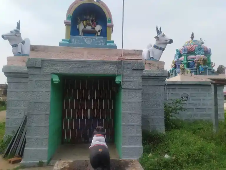 Arulmigu Viswanatha Swamy Temple, Iluppaikkudi - 621713
