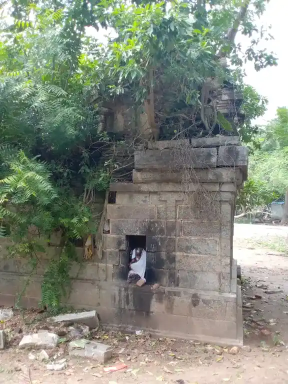 Arulmigu Viswanatha Swamy Temple, Nallanayagapuram - 609102 அருள்மிகு விசுவநாதசுவாமி திருக்கோயில், Sirkali - 609102, Mayiladuthurai - Ancient Temple Architecture and History Image 2