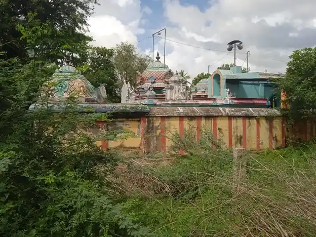 Arulmigu Viswanatha Swamy Temple, Pazhavanakudi - 613703 அருள்மிகு விஸ்வநாதசாமி திருக்கோயில், பழவனக்குடி - 613703, Thiruvarur - Ancient Temple Architecture and History Image 4