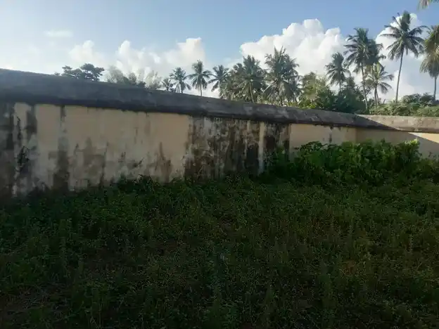 Arulmigu Viswanatha Swamy Temple, Peruvidaimaruthur - 614705 அருள்மிகு விஸ்வநாதசுவாமி திருக்கோயில், Peruvidaimaruthur - 614705, Thiruvarur - Ancient Temple Architecture and History Image 3