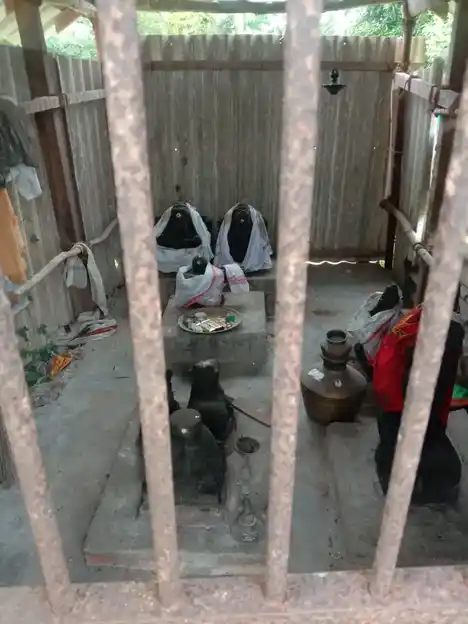 Arulmigu Viswanatha Swamy Temple, Serukalathur - 614705