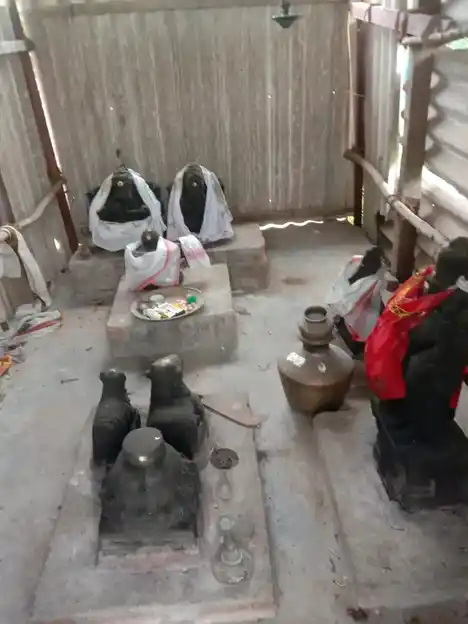 Arulmigu Viswanatha Swamy Temple, Serukalathur - 614705 அருள்மிகு விசுவநாதசுவாமி வகையறா திருக்கோயில், Serukalathur - 614705, Thiruvarur - Ancient Temple Architecture and History Image 2