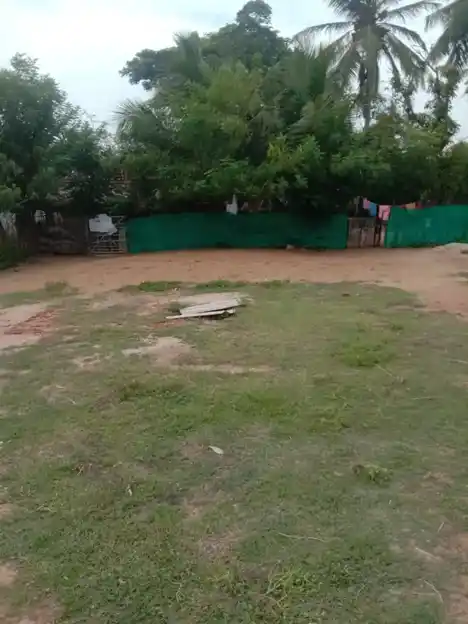 Arulmigu Viswanatha Swamy Temple, Serukalathur - 614705 அருள்மிகு விசுவநாதசுவாமி வகையறா திருக்கோயில், Serukalathur - 614705, Thiruvarur - Ancient Temple Architecture and History Image 3