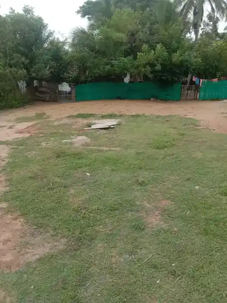 Arulmigu Viswanatha Swamy Temple, Serukalathur - 614705 அருள்மிகு விசுவநாதசுவாமி வகையறா திருக்கோயில், Serukalathur - 614705, Thiruvarur - Ancient Temple Architecture and History Image 6