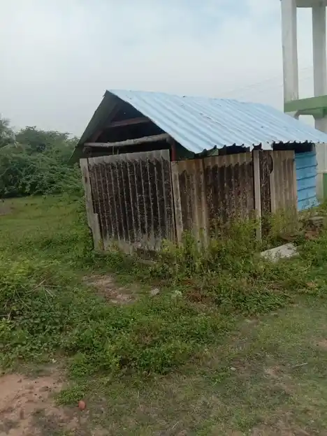 Arulmigu Viswanatha Swamy Temple, Serukalathur - 614705 அருள்மிகு விசுவநாதசுவாமி வகையறா திருக்கோயில், Serukalathur - 614705, Thiruvarur - Ancient Temple Architecture and History Image 7