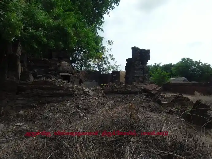 Arulmigu Viswanathar Swamy Temple, Palakkadu, Palakkadu - 611108 அருள்மிகு விஸ்வநாதர் சுவாமி திருக்கோயில், பாலக்காடு, பாலக்காடு - 611108, Nagapattinam - Ancient Temple Architecture and History Image 2