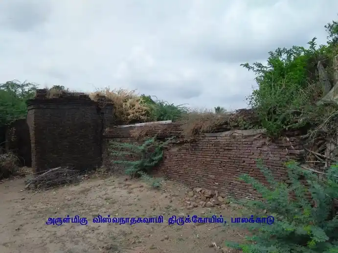 Arulmigu Viswanathar Swamy Temple, Palakkadu, Palakkadu - 611108 அருள்மிகு விஸ்வநாதர் சுவாமி திருக்கோயில், பாலக்காடு, பாலக்காடு - 611108, Nagapattinam - Ancient Temple Architecture and History Image 3
