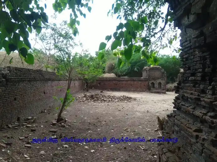 Arulmigu Viswanathar Swamy Temple, Palakkadu, Palakkadu - 611108 அருள்மிகு விஸ்வநாதர் சுவாமி திருக்கோயில், பாலக்காடு, பாலக்காடு - 611108, Nagapattinam - Ancient Temple Architecture and History Image 4