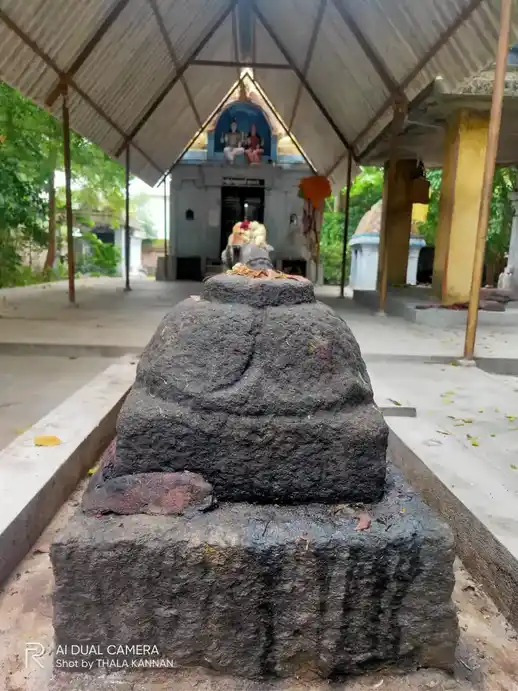 Arulmigu Viswanathar Temple, M.Puliyankudi - 608304
