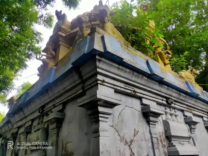 Arulmigu Viswanathar Temple, M.Puliyankudi - 608304 அருள்மிகு விஸ்வநாதர் திருக்கோயில், M.Puliyankudi - 608304, Cuddalore - Ancient Temple Architecture and History Image 5