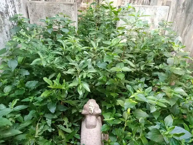 Arulmigu Viswanathar & Veetrindha Perumal Temple, Vadkarimathoor - 609403 Temple