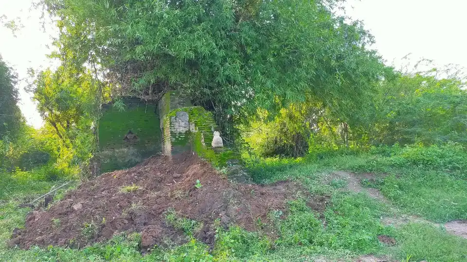 Arulmigu Viswanathasamy And Vangavanaperumal Temple, Veppancheri - 614703 அருள்மிகு விஷ்வாநாதசுவாமி  திருக்கோயில், Veppancheri - 614703, Thiruvarur - Ancient Temple Architecture and History Image 2