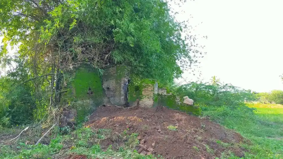 Arulmigu Viswanathasamy And Vangavanaperumal Temple, Veppancheri - 614703 அருள்மிகு விஷ்வாநாதசுவாமி  திருக்கோயில், Veppancheri - 614703, Thiruvarur - Ancient Temple Architecture and History Image 3