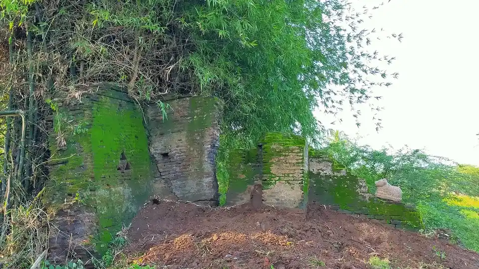 Arulmigu Viswanathasamy And Vangavanaperumal Temple, Veppancheri - 614703 அருள்மிகு விஷ்வாநாதசுவாமி  திருக்கோயில், Veppancheri - 614703, Thiruvarur - Ancient Temple Architecture and History Image 4