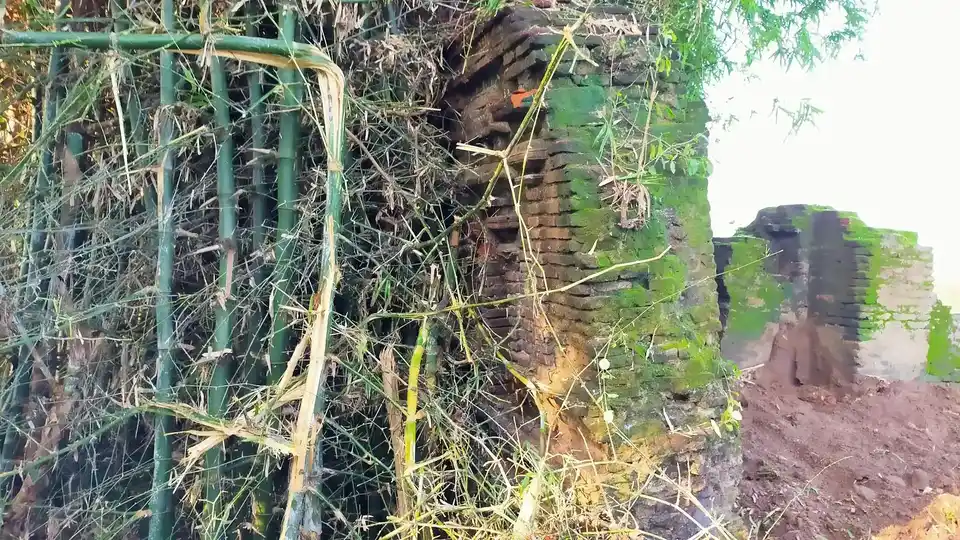 Arulmigu Viswanathasamy And Vangavanaperumal Temple, Veppancheri - 614703 அருள்மிகு விஷ்வாநாதசுவாமி  திருக்கோயில், Veppancheri - 614703, Thiruvarur - Ancient Temple Architecture and History Image 5