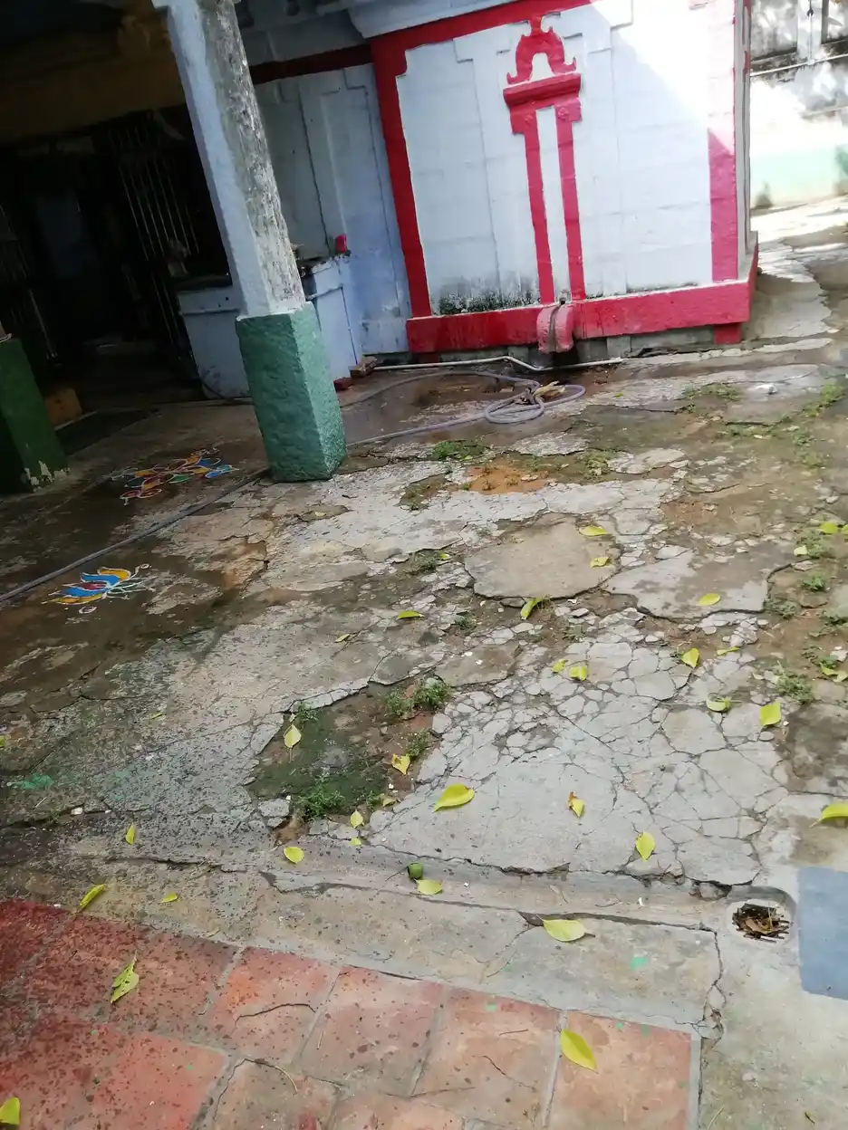 Arulmigu Viswanathasamy Temple, Keelanatham - 627353 அருள்மிகு விஸ்வநாதசுவாமி திருக்கோயில், Keelanatham - 627353, Tirunelveli - Ancient Temple Architecture and History Image 5