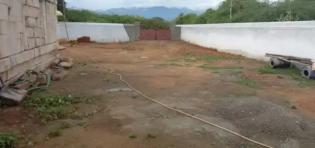 Arulmigu Viswanathasamy Temple, Near By Pond, Vagai Kulam - 627754 அருள்மிகு விஸ்வநாதசுவாமி திருக்கோயில், Near By Pond, Vagai Kulam - 627754, Tirunelveli - Ancient Temple Architecture and History Image 5