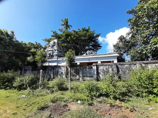 Arulmigu Viswanathaswamy Temple, Erukoor - 609108 அ/மி.விசுவநாத சுவாமி திருக்கோயில், Sirkazhi - 609108, Mayiladuthurai - Ancient Temple Architecture and History Image 4