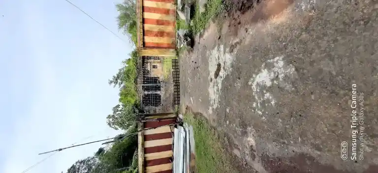 Arulmigu Viswanathaswamy Temple, Ilanthoopu Main Road, Sathangudi - 609205 அருள்மிகு விஸ்வநாத சுவாமி திருக்கோயில், இளந்தோப்பு மெயின் ரோடு, Sathangudi - 609205, Mayiladuthurai - Ancient Temple Architecture and History Image 4