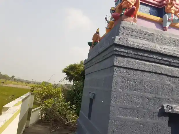 Arulmigu Viswanathaswamy Temple, Nariyanoor - 621707 அருள்மிகு விசுவநாதசுவாமி திருக்கோயில், Nariyanoor - 621707, Ariyalur - Ancient Temple Architecture and History Image 4