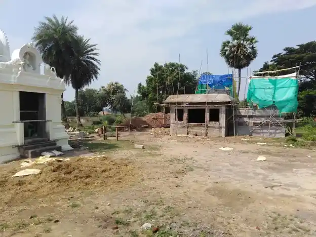 Arulmigu Viswanathaswamy Temple, Nemelli - 609805 Temple