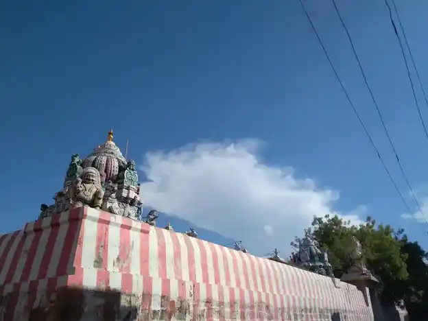 Arulmigu Viswanathaswamy Temple, Sivakasi, Sivakasi - 626123 அருள்மிகு விஸ்வநாதசுவாமி திருக்கோயில், சிவகாசி, சிவகாசி நகர் - 626123, Virudhunagar - Ancient Temple Architecture and History Image 7