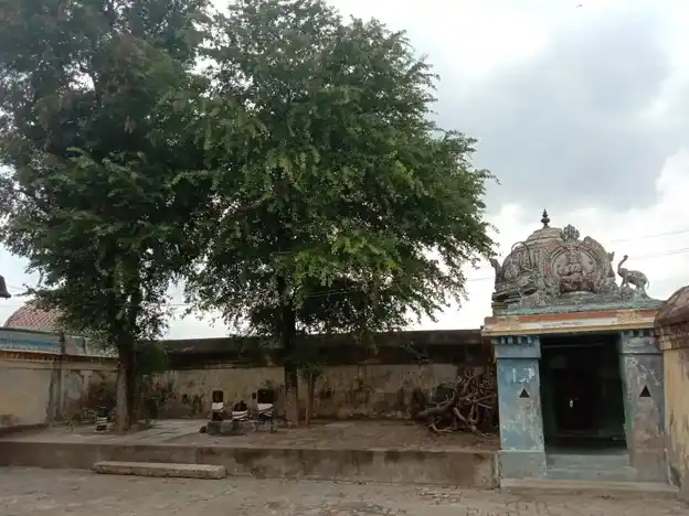 Arulmigu Viswanathaswamy Temple, T. Palur - 612904