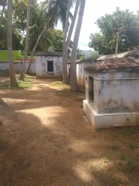 Arulmigu Viswanathaswamy Temple, Thirunelveli - 627421 அருள்மிகு விசுவநாதசுவாமி திருக்கோயில், Thirunelveli - 627421, Tirunelveli - Ancient Temple Architecture and History Image 2