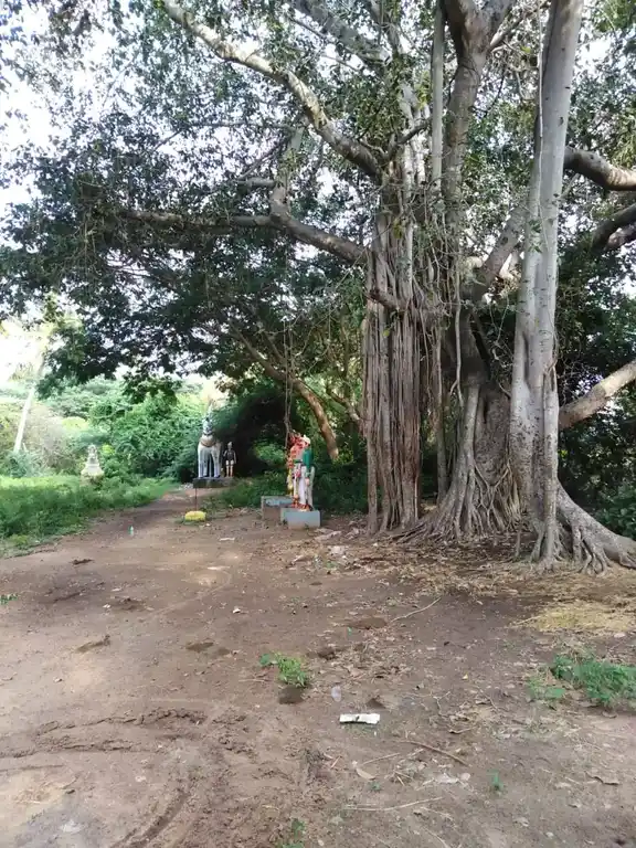 Arulmigu Viswanathaswamy Temple, Vettamangalam - 609807 அருள்மிகு விசுவநாதர் மற்றும் வேம்பனார் திருக்கோயில், Vettamangalam - 609807, Thanjavur - Ancient Temple Architecture and History Image 9