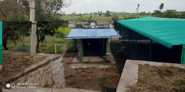 Arulmigu Viyaakpureeshwarar Temple, Raavuththanallur - 606402 அருள்மிகு வியாக்ரபுரீஸ்வரர் திருக்கோயில், Raavuththanallur - 606402, Kallakurichi - Ancient Temple Architecture and History Image 8