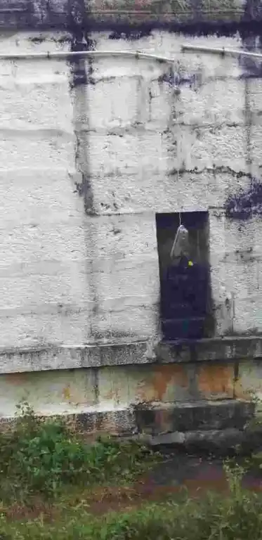 Arulmigu Vyagrapuriswarar Temple, Nadumaram - 603305 அருள்மிகு வியாக்புரிஸ்வரர் திருக்கோயில், Nadumaram - 603305, Chengalpattu - Ancient Temple Architecture and History Image 3