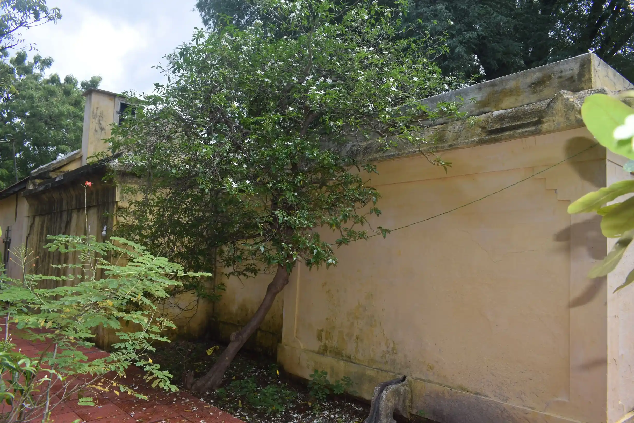 Arulmigu Yakkaladeviamman Temple, Tenkasi - 627811 அருள்மிகு எக்களா தேவியம்மன் திருக்கோயில், Tenkasi - 627811, Tenkasi - Ancient Temple Architecture and History Image 7